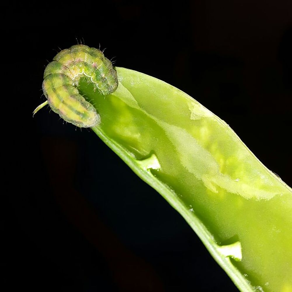 Photograph by Zahra HassanPour