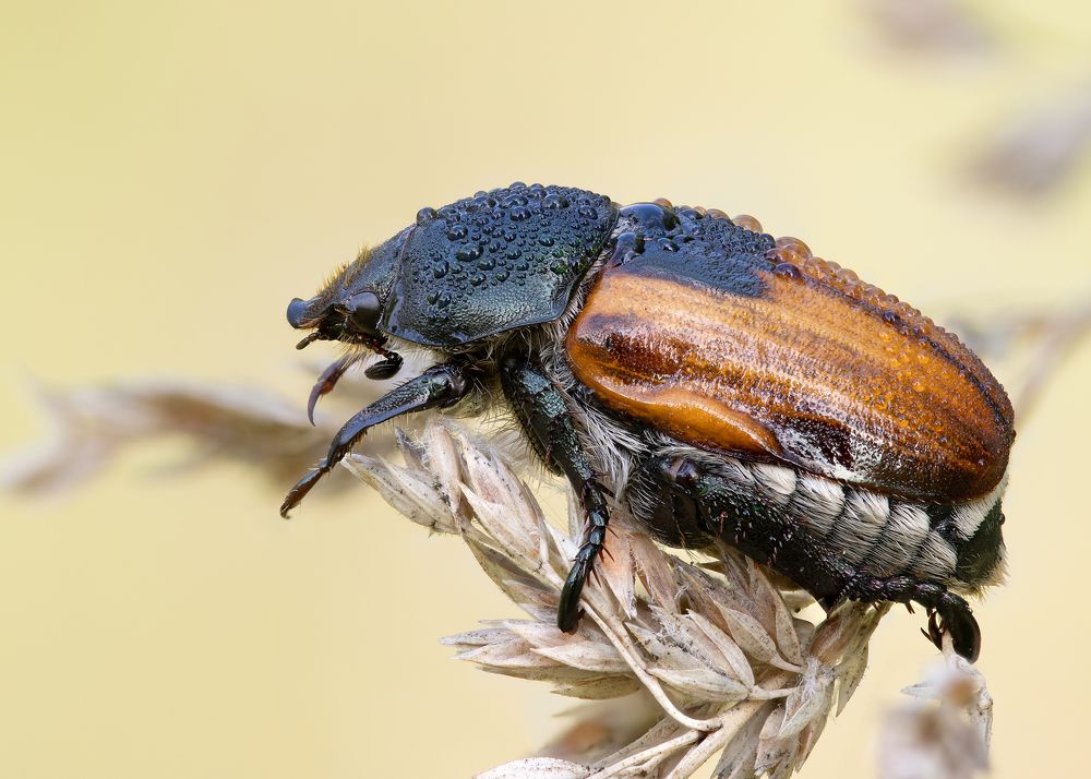 Photograph by Кузнецов Дмитрий