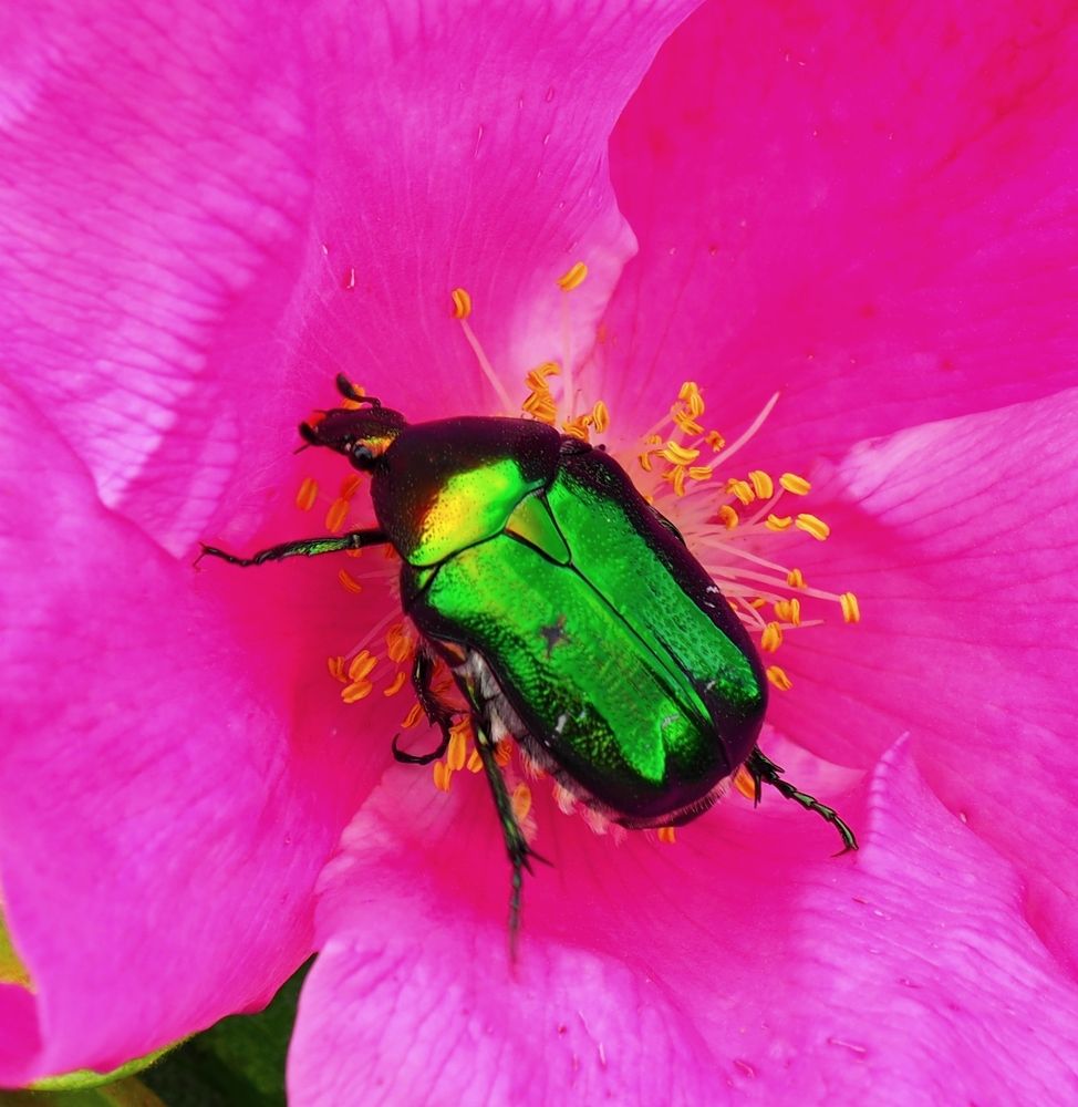 Photograph by Андрей Перешеин