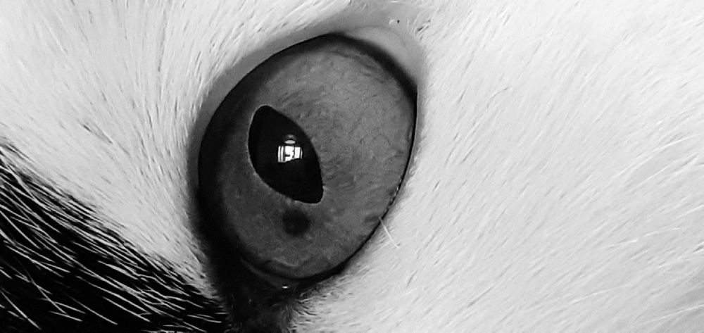 Photograph by Евгения Ульянова