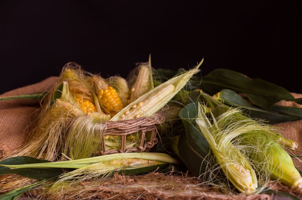 Photograph by Светлана Нестерова