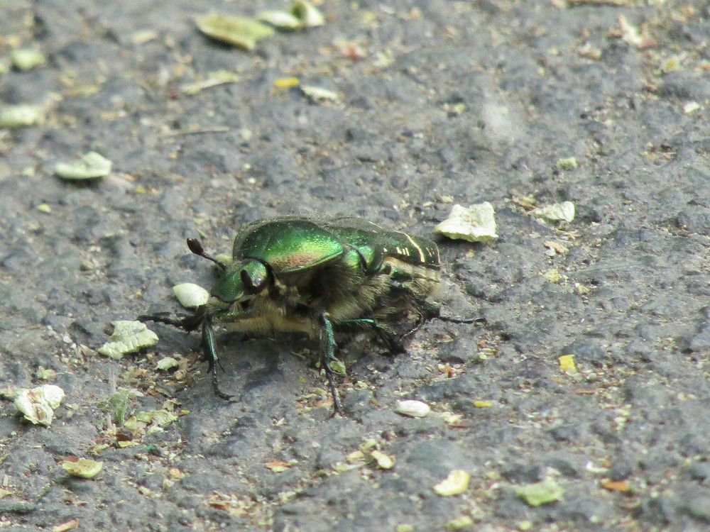 Photograph by Нурлан Кушкунов