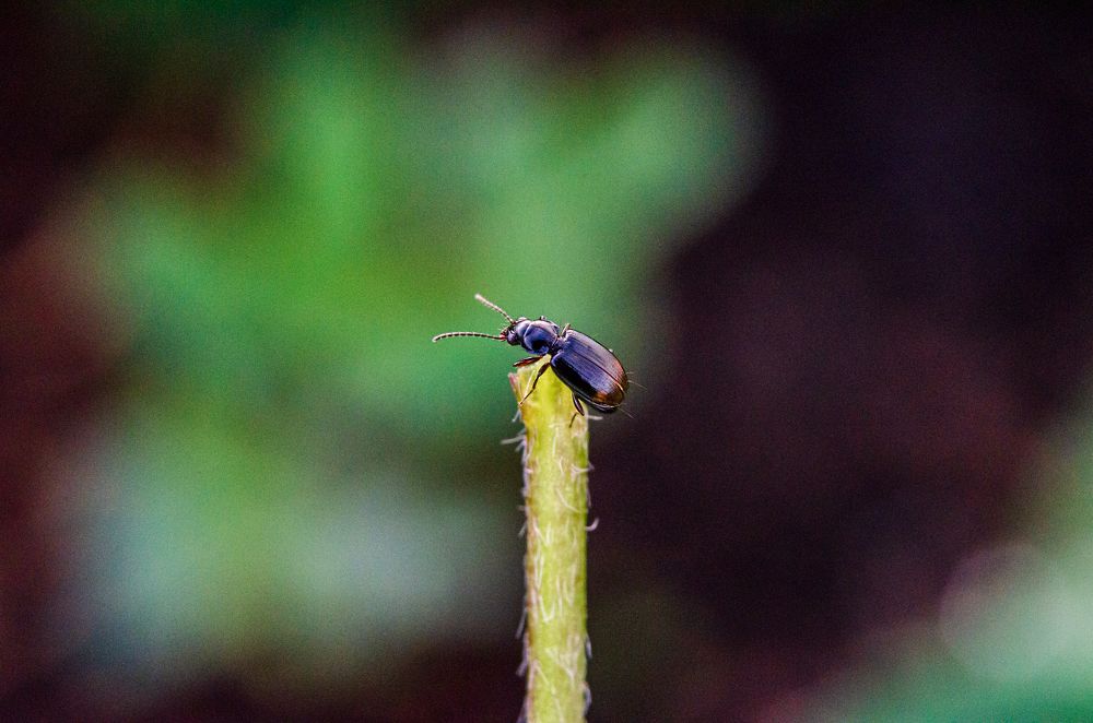 Photograph by Денис Кичев