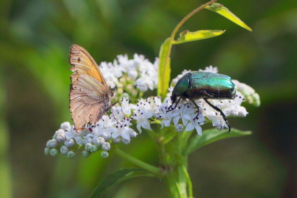 Photograph by Сергей Малыхин