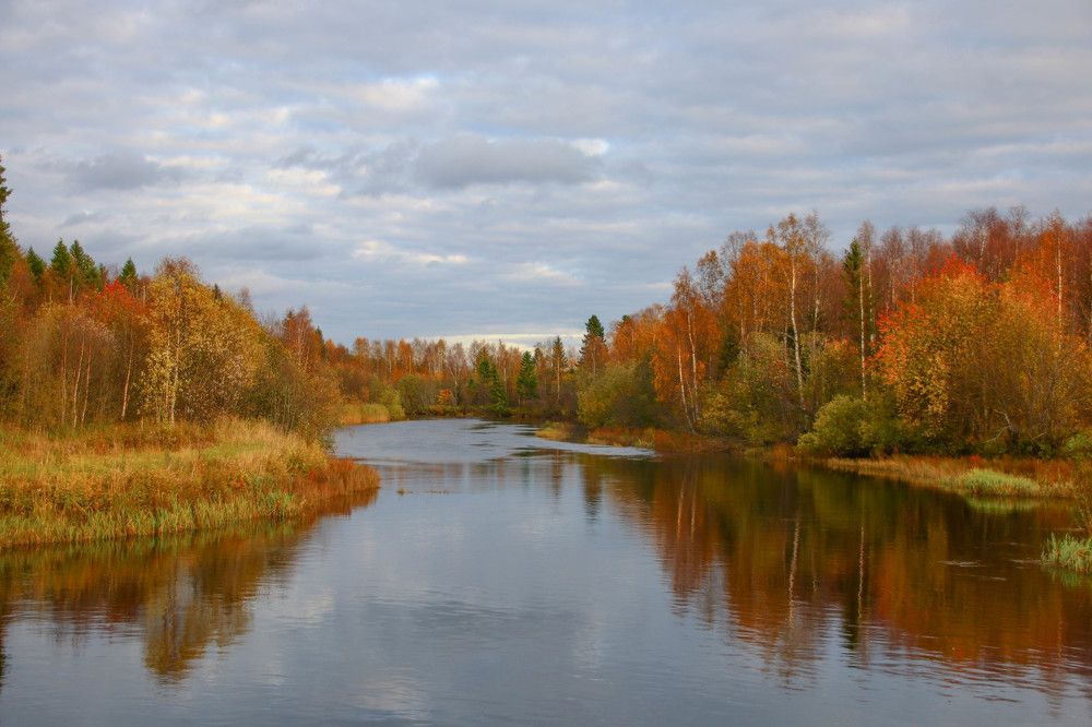 Photograph by Александр Трифанов