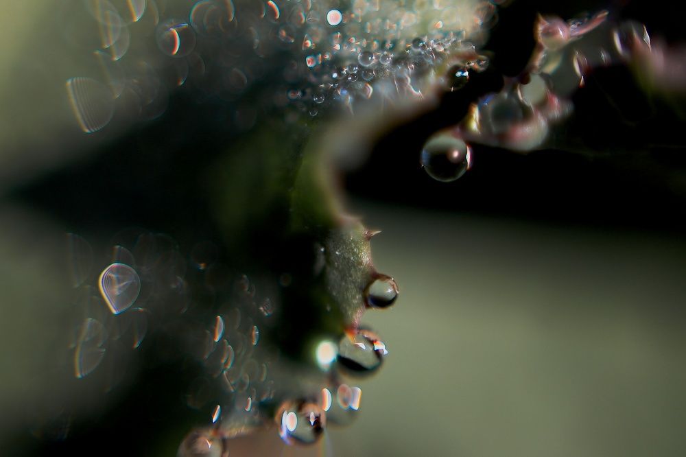 Photograph by Мария Зайцева