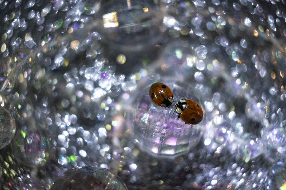 Photograph by Наталья Вялых