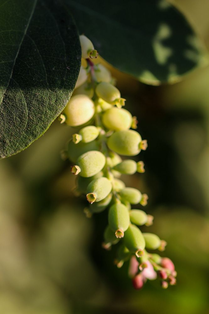 Photograph by Оксана Сафина