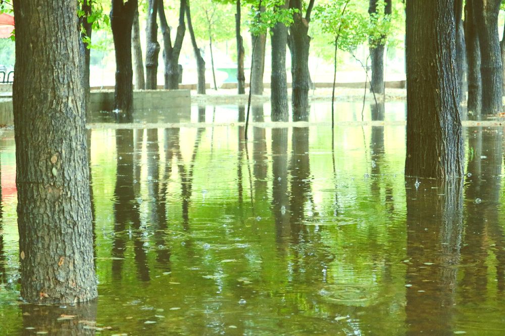 Photograph by Babak Akvan