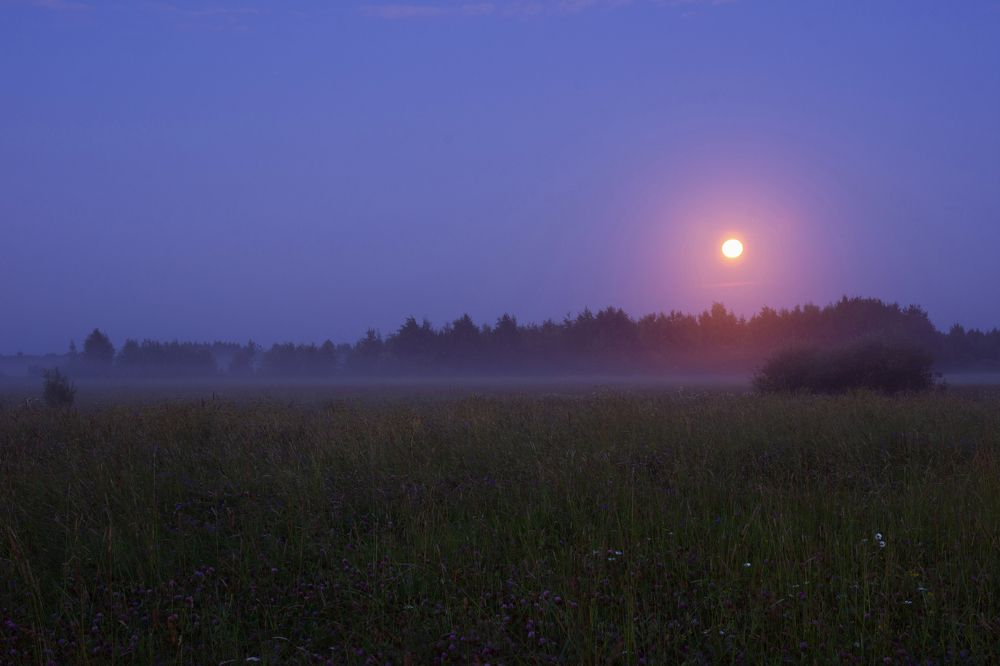 Photograph by Максим