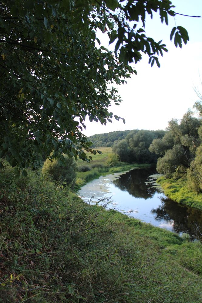 Photograph by Анастасия Липаткина