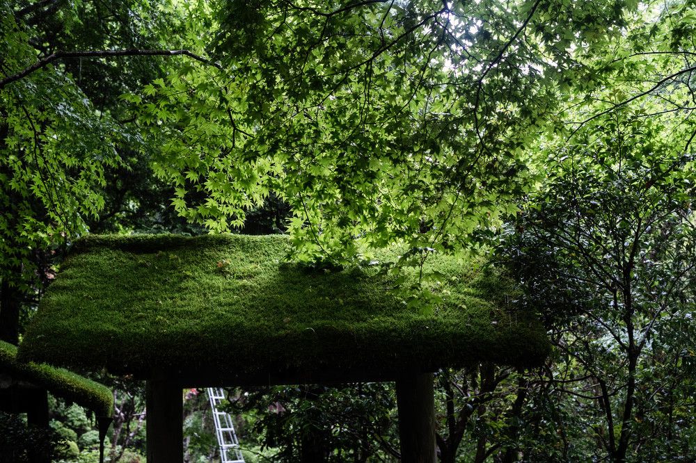 Фотография автора Наталья Барова