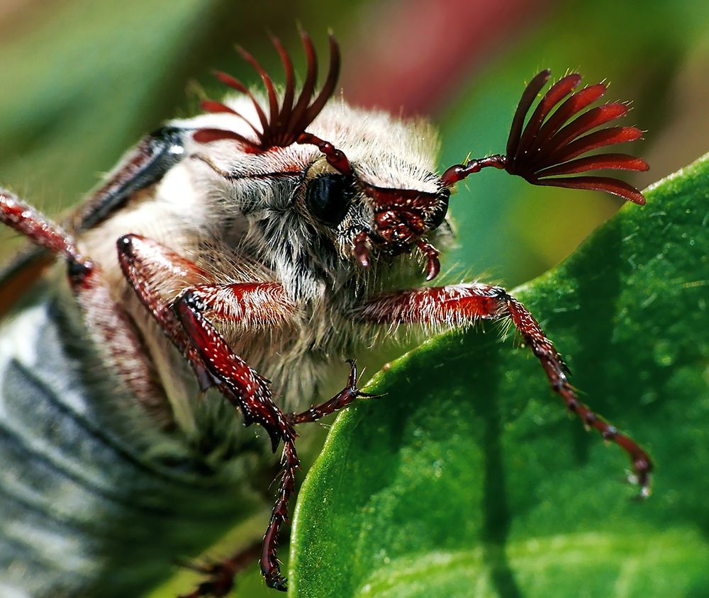 Photograph by sasha yudin