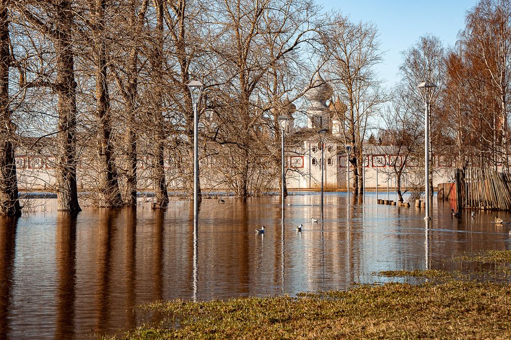 Photograph by Игорь Овсиенко