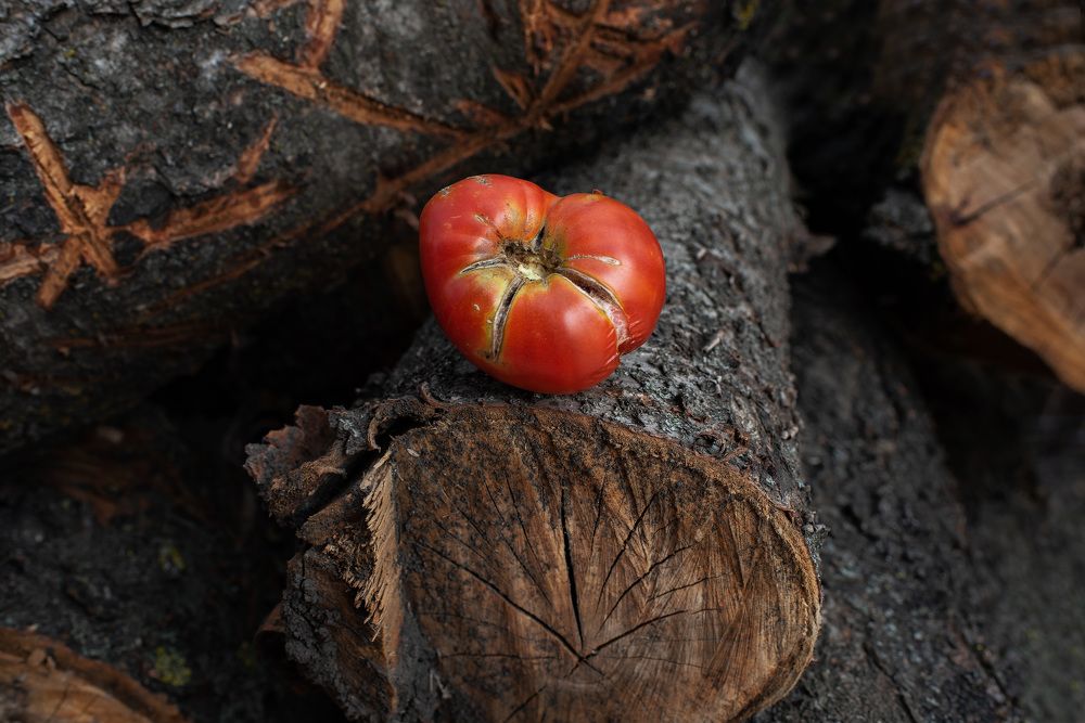 Photograph by Ада Авдонина