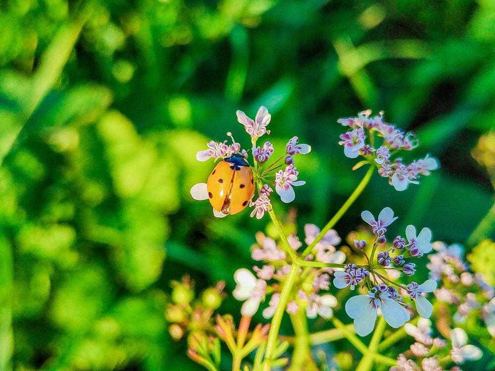 Photograph by Дмитрий Малышев