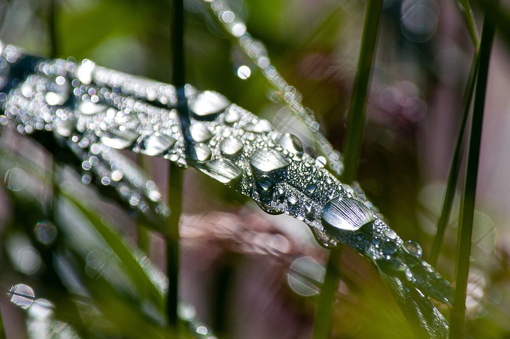 Photograph by Игорь Овсиенко