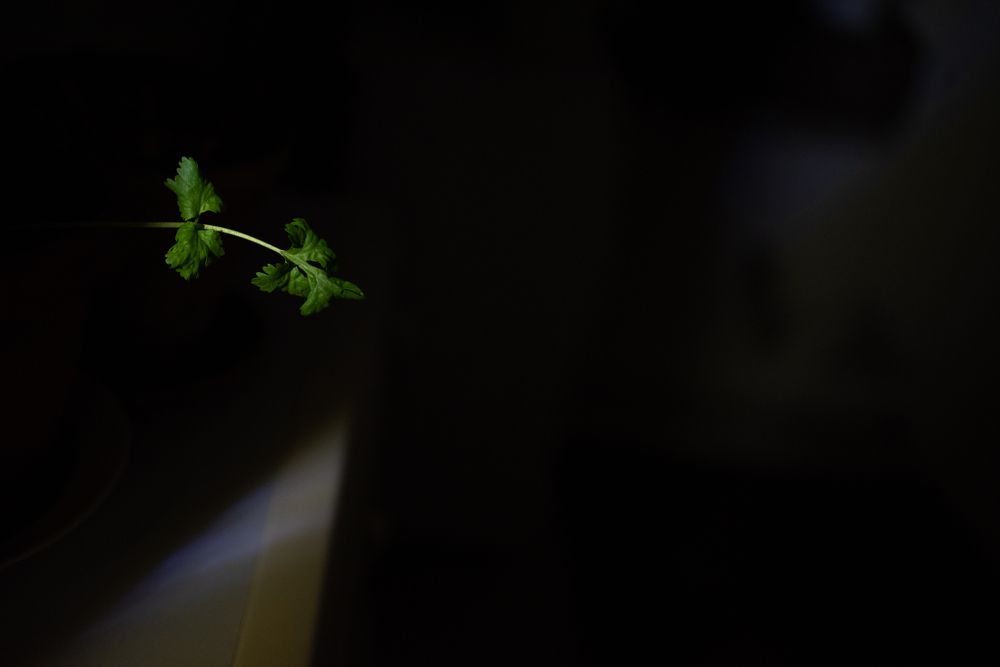 Photograph by Ада Авдонина