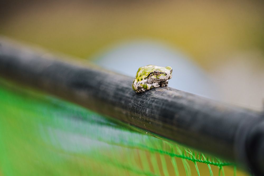 Фотография автора Наталья Барова