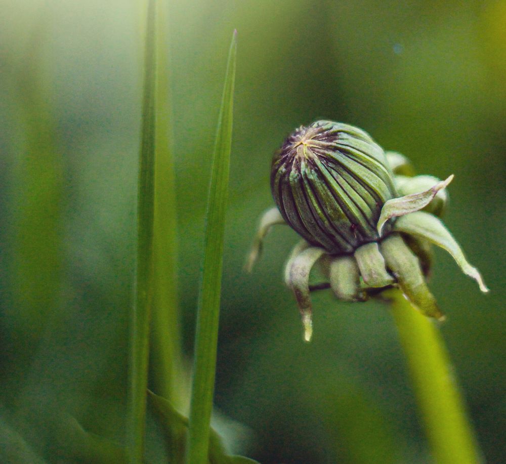 Photograph by Евгения Д