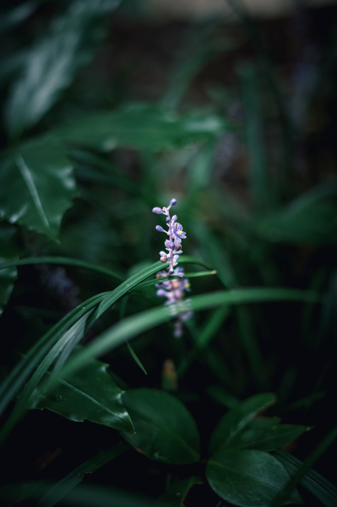 Фотография автора Наталья Барова