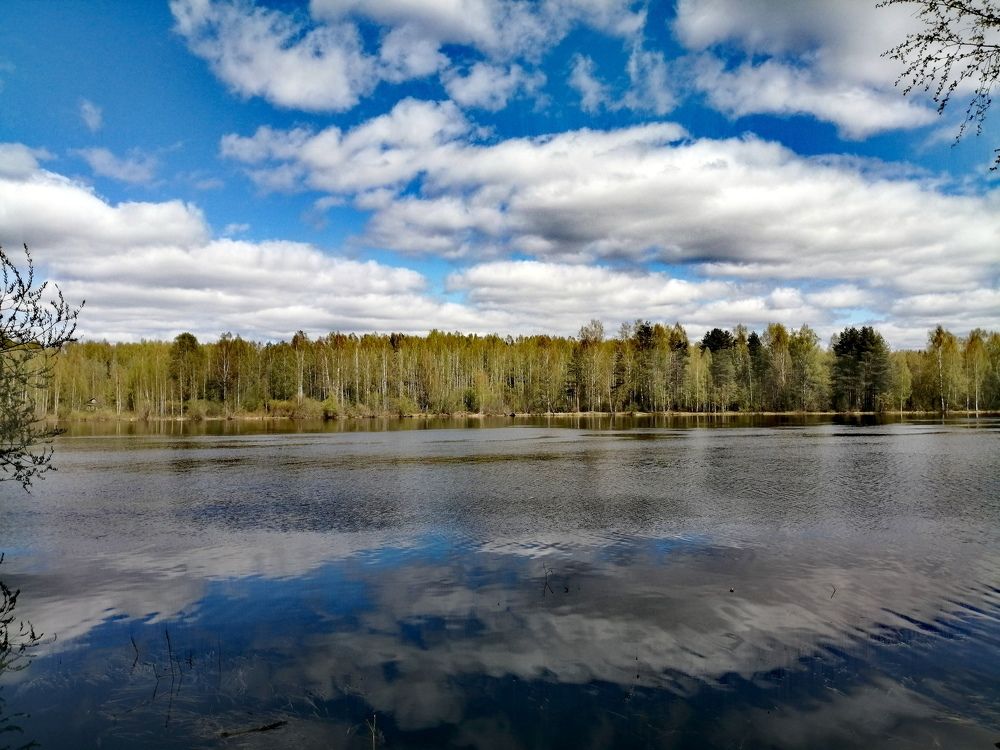 Photograph by Галина Смирнова