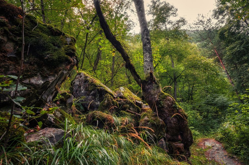 Photograph by Александр Дудников