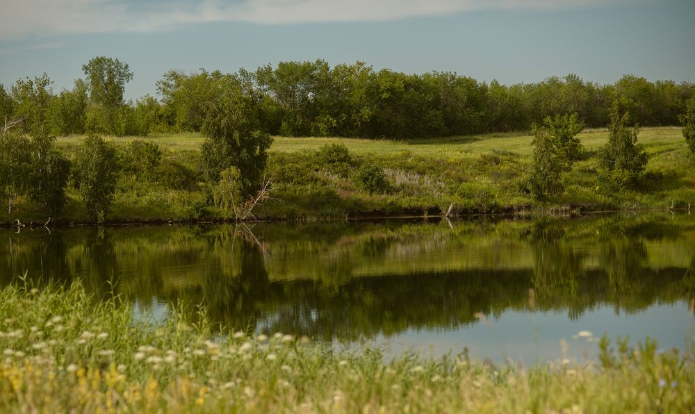 Photograph by Наталья Скроб