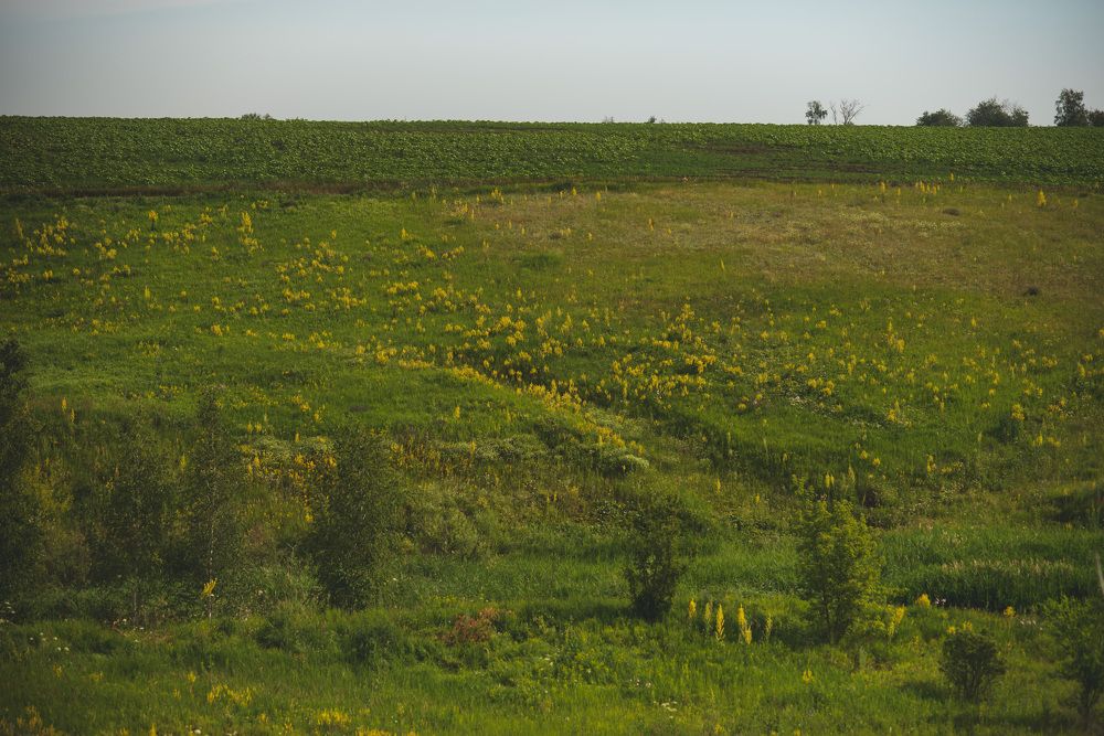 Photograph by Наталья Скроб