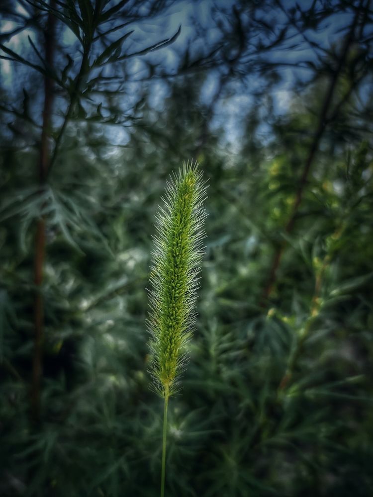 Photograph by Mar Kos