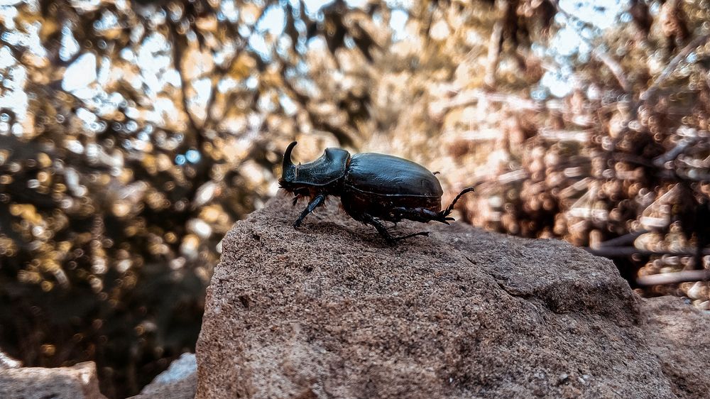 Photograph by Екатерина Якушева