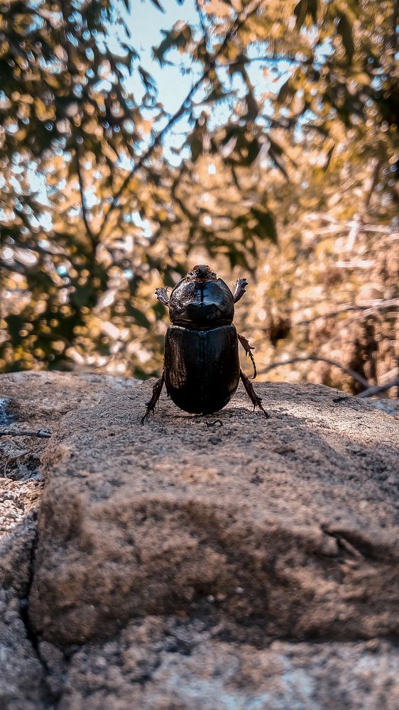 Photograph by Екатерина Якушева