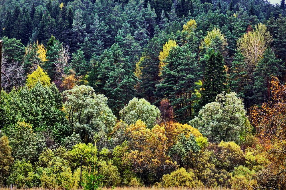 Photograph by Станислав Староверов