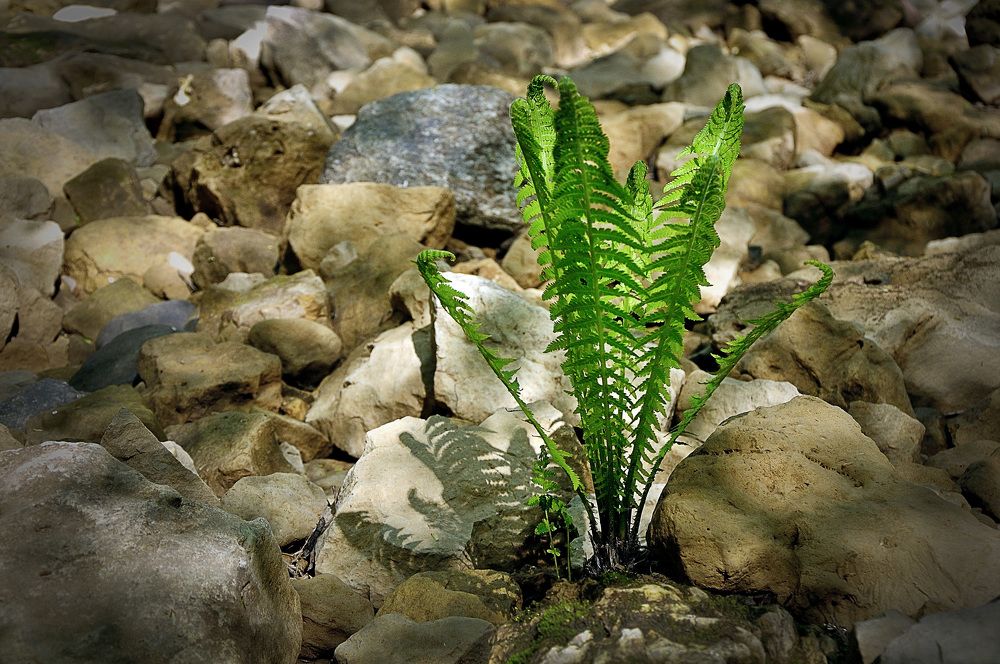 Photograph by Игорь Овсиенко