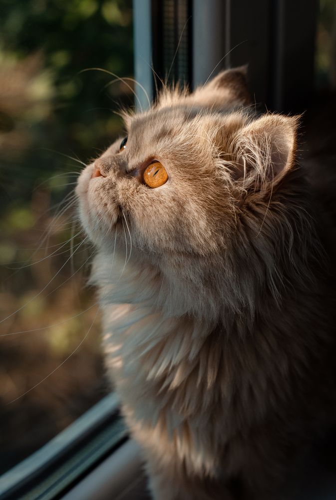 Photograph by Екатерина Якушева