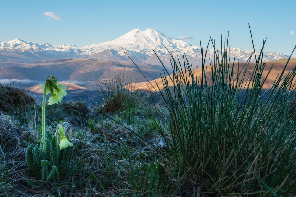 Photograph by Ирина Мошковская