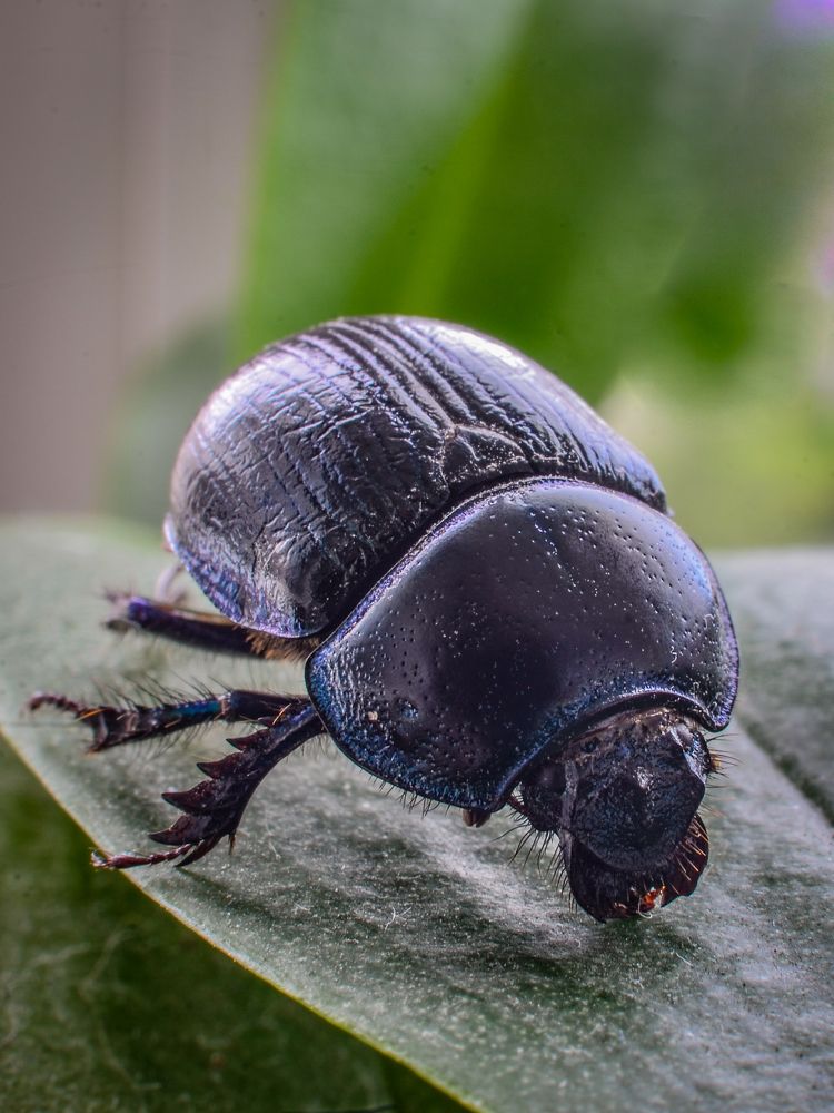 Photograph by Глухарев Сергей