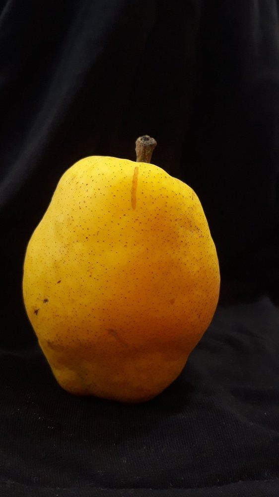 Photograph by Светлана Усатенко