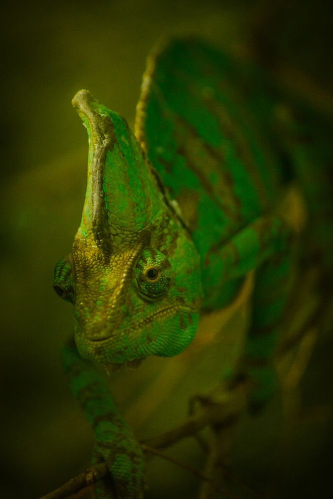 Photograph by Глухарев Сергей