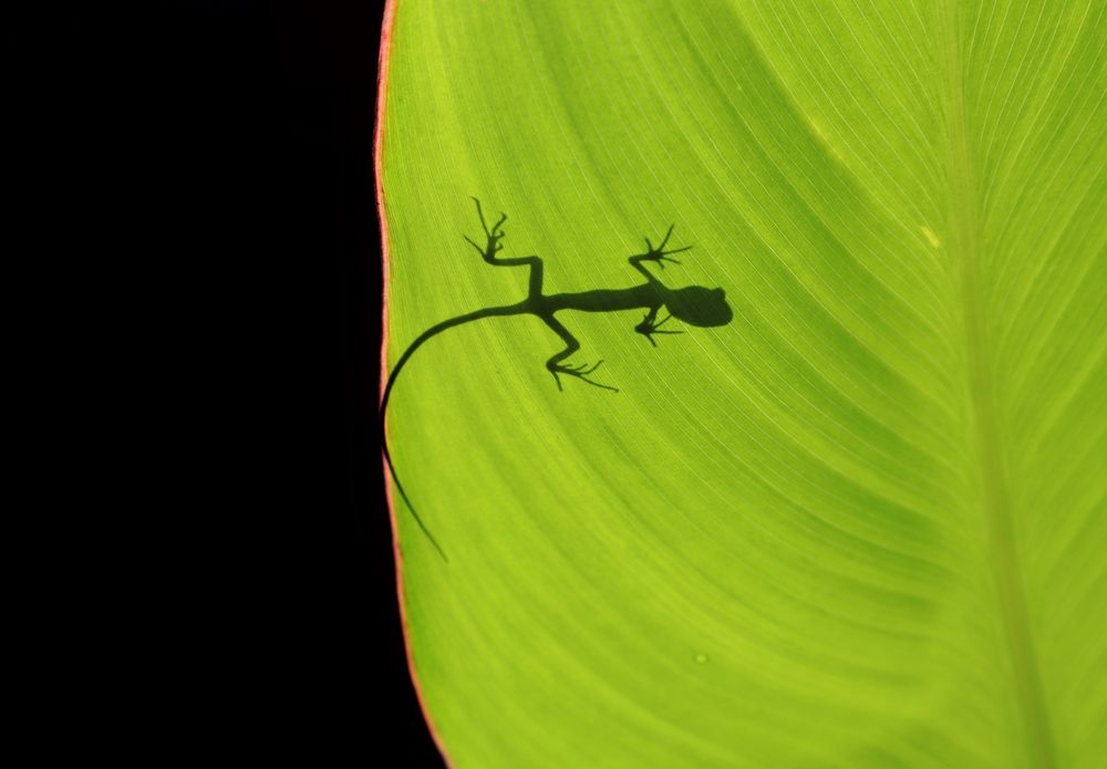 Photograph by Ekra Tasfia