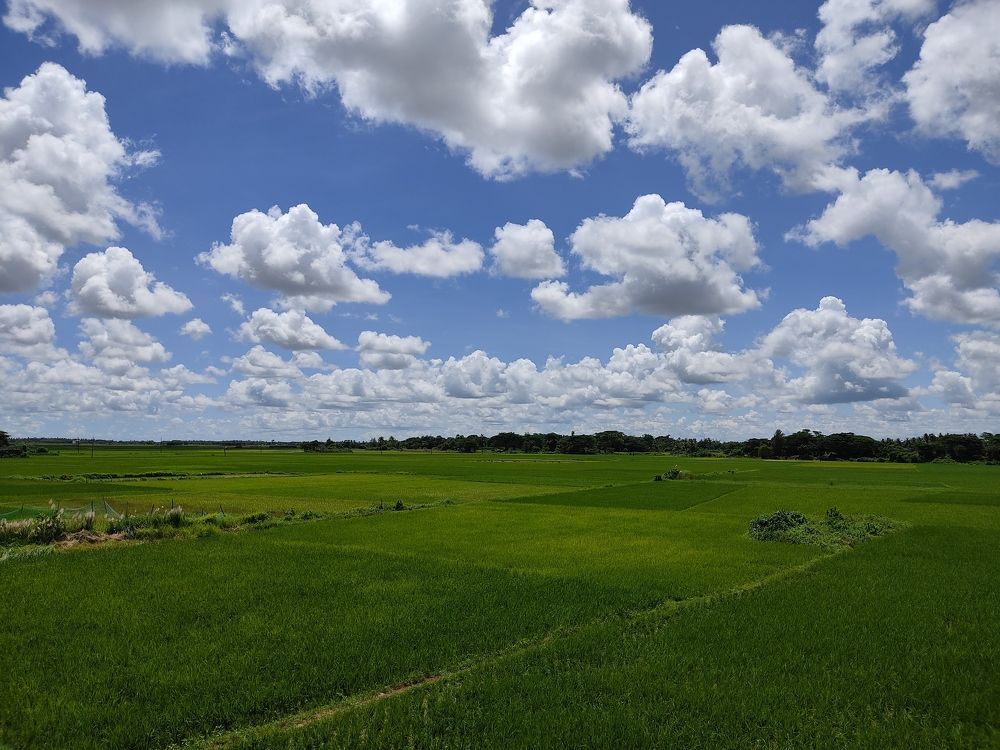 Photograph by Manoranjan Mallick