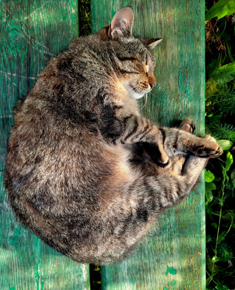 Photograph by Евгений Белов