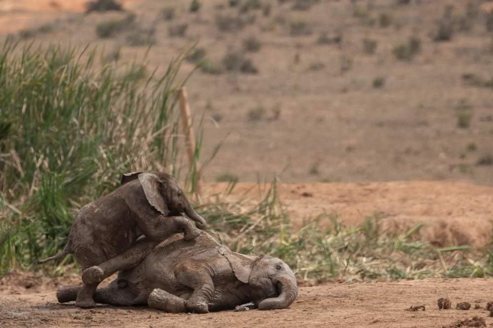 Photograph by Deon Oosthuizen