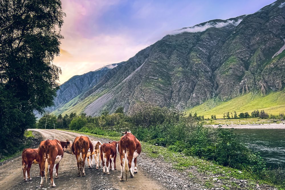 Photograph by Никита Борзов