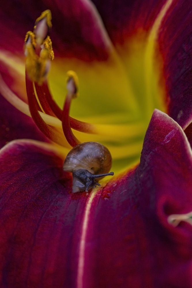 Photograph by Ольга Крючкова