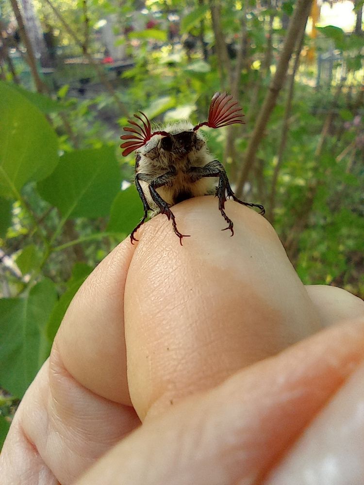 Photograph by Наталья Стальмакова