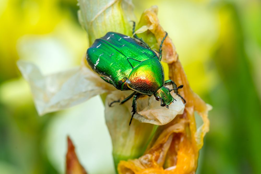 Photograph by Александр Плисик
