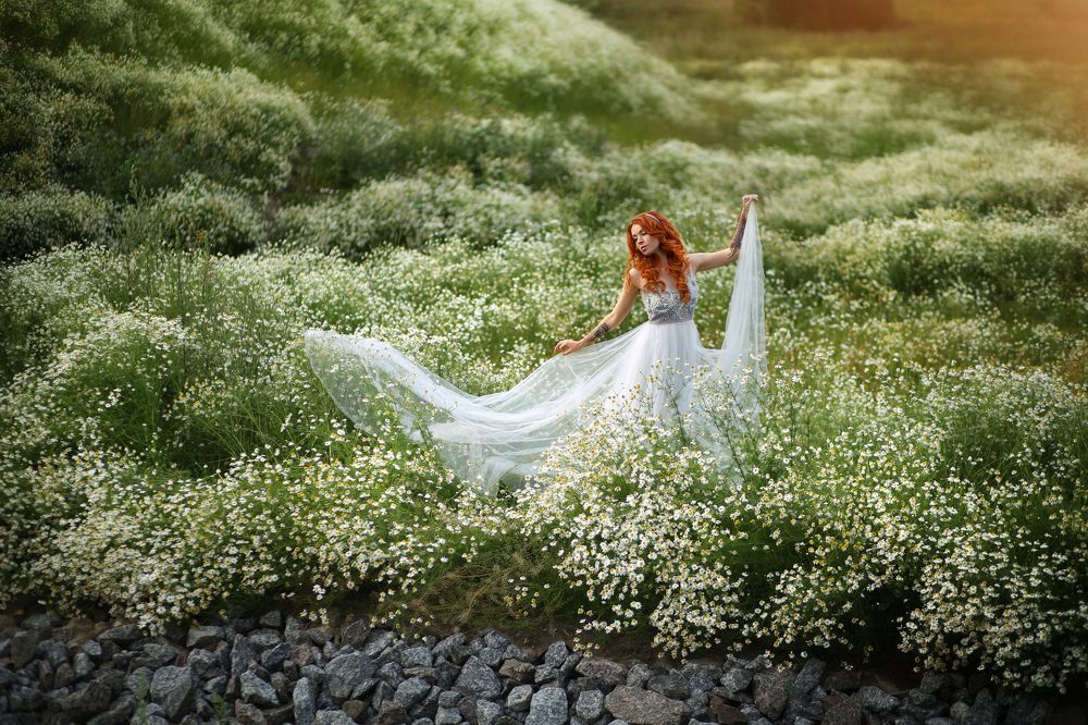 Photograph by 