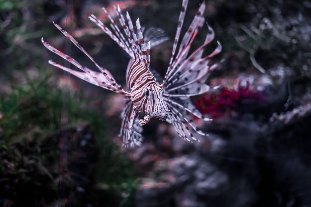 Photograph by Сергей Шпаков