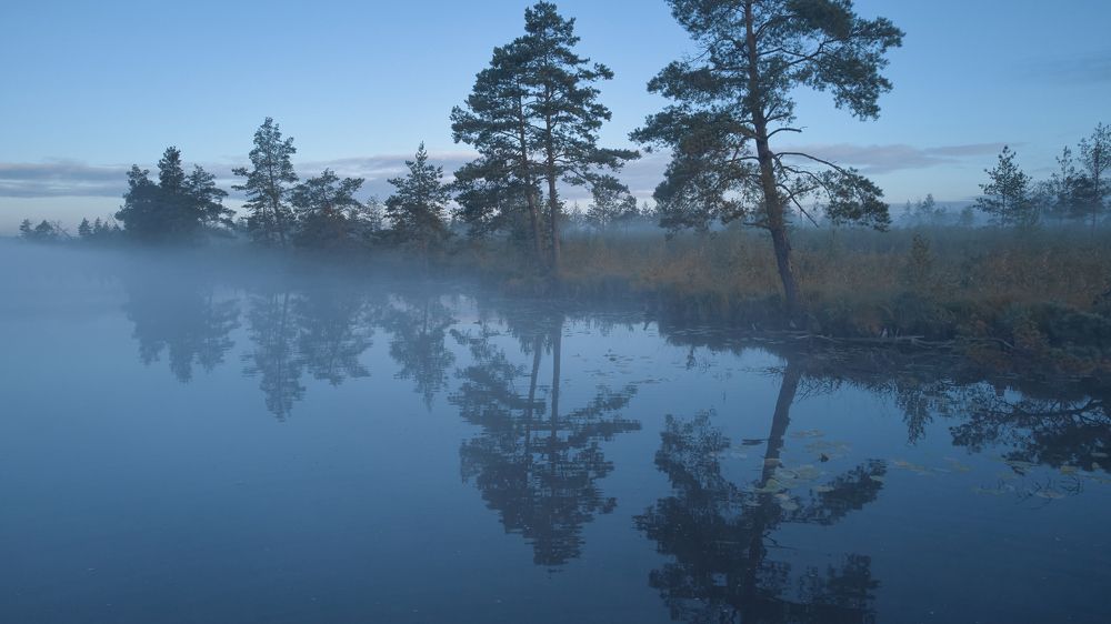 A misty September morning at the Deer Lake, Meshera